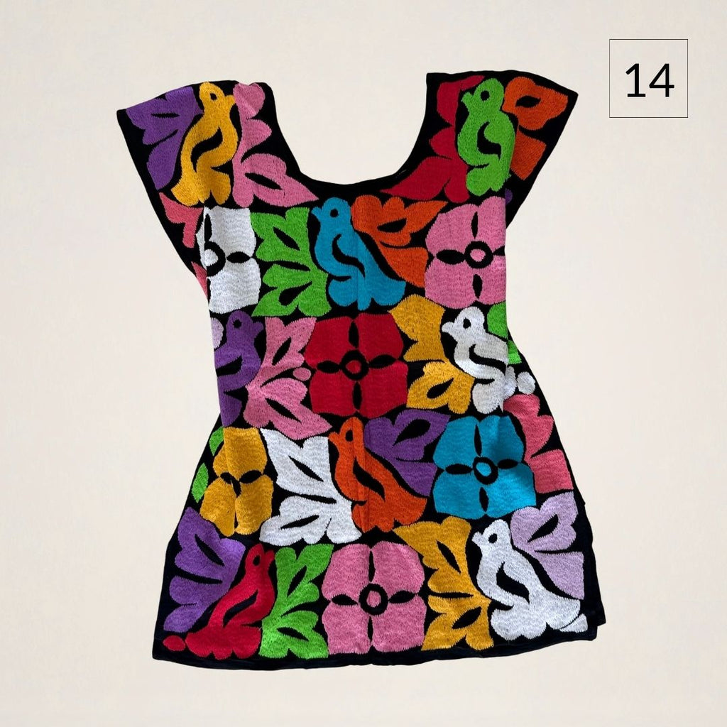 Blusa Gala Patrimonio | Bordado Jalapa de Díaz